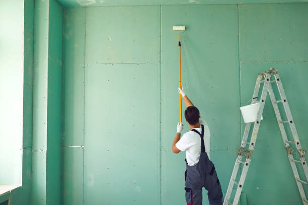 Professional Mold Removal in Woodmere, LA