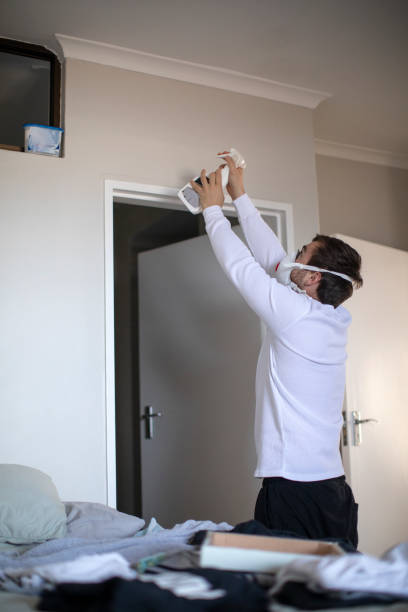 Best Water Damage & Mold Remediation  in Woodmere, LA