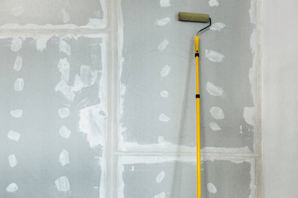 Best Environmental Consulting for Mold Prevention  in Woodmere, LA