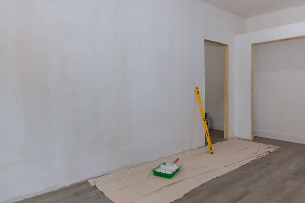 Best Basement Mold Removal  in Woodmere, LA