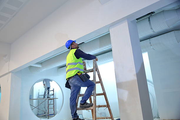 Best Mold Damage Restoration  in Woodmere, LA