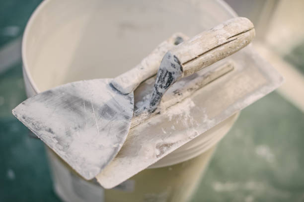 Best Airborne Mold Testing  in Woodmere, LA