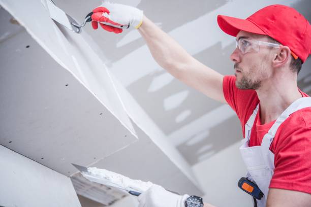 Best Dehumidification Services  in Woodmere, LA